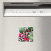 Frosty Holly Magnet (In Situ (Geschirrspüler))