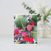 Frosty Holly Postkarte (Stehend Vorderseite)