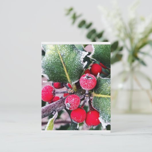 Frosty Holly Postkarte (Stehend Vorderseite)