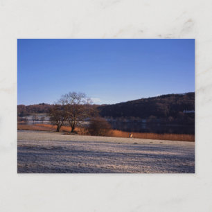 Frosty Morgens Esthwaite Water Cumbria England Postkarte
