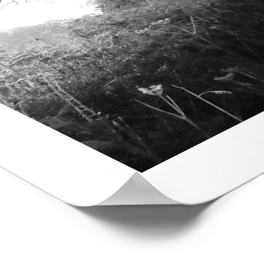 Frosty Morning: Cheshire Poster (Ecke)