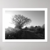 Frosty Morning: Cheshire Poster (Vorne)