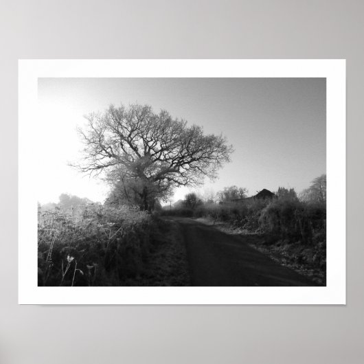 Frosty Morning: Cheshire Poster (Vorne)