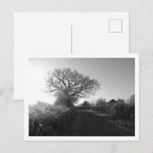Frosty Morning: Cheshire Postkarte