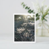 Frosty Morning in Cheshire Postcard Postkarte (Stehend Vorderseite)