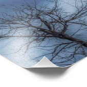 Frosty Morning Niagara Falls Fotodruck (Ecke)