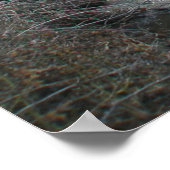 Frosty Morning on Price Road Poster (Ecke)