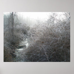 Frosty Morning on Price Road Poster
