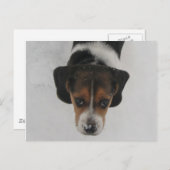 Frosty Nose Postkarte (Vorne/Hinten)