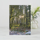 frosty sunlite moss einladung (Stehend Vorderseite)