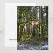 frosty sunlite moss einladung (Vorne/Hinten)