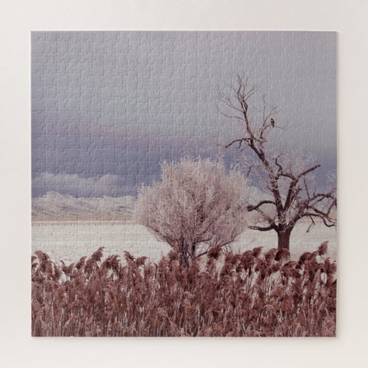 Frosty Utah Mountain Morning - 20x20 - 676 pc Puzzle (Vertikal)