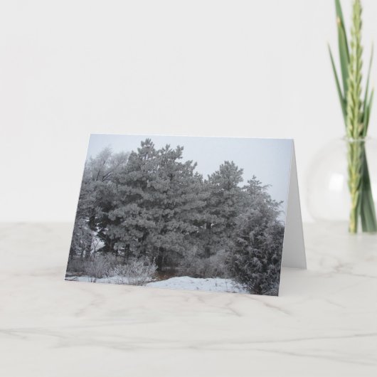 Frosty Winter Wonderland Feiertagskarte (Vorderseite)