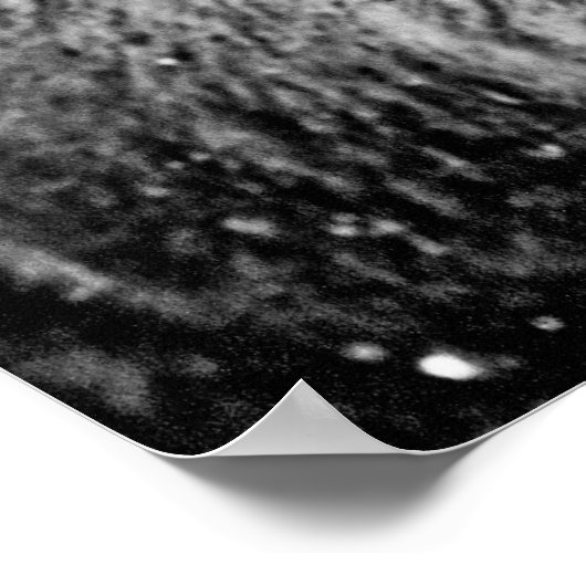 Frosty Yellowstone Bison Poster (Ecke)