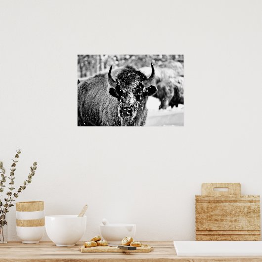 Frosty Yellowstone Bison Poster (Küche)