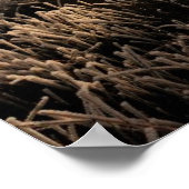 Frosty Yellowstone Morning Poster (Ecke)