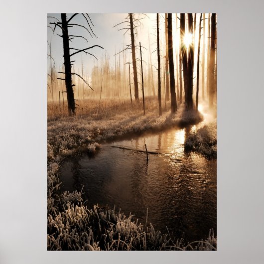 Frosty Yellowstone Morning Poster (Vorne)