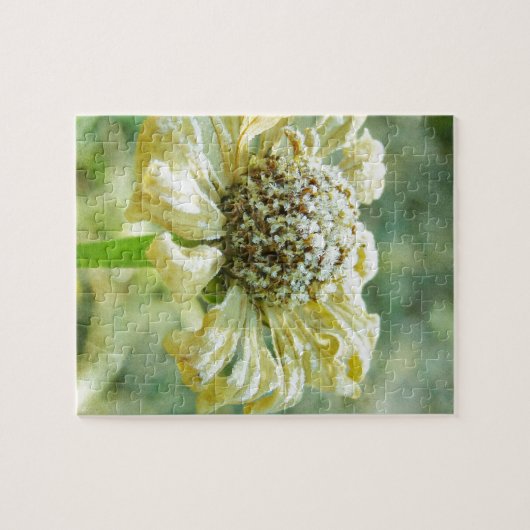 Frosty Zinna Puzzle (Horizontal)