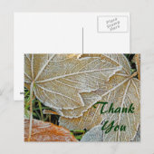Frozen Ahorn Danke, Postcard Postkarte (Vorne/Hinten)