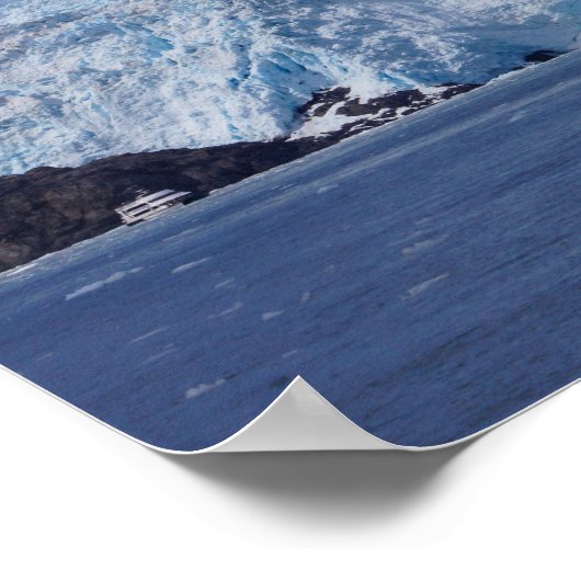 Frozen Beauty Poster (Ecke)