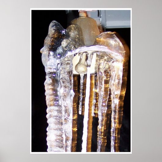 Frozen Bell Poster (Vorne)