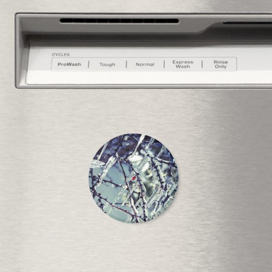 Frozen Berry Magnet (In Situ (Geschirrspüler))