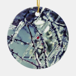 Frozen Berry Ornament