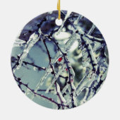 Frozen Berry Ornament (Hinten)