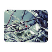 Frozen Berry Premium Magnet (Horizontal)