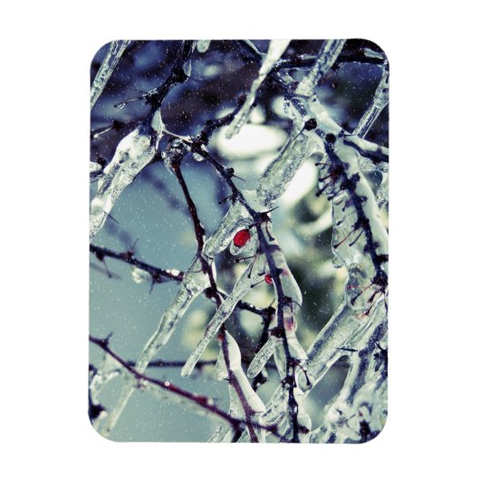 Frozen Berry Premium Magnet (Vertikal)