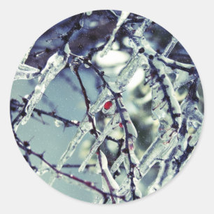 Frozen Berry Sticker