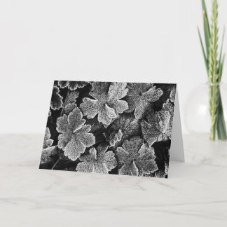 Frozen Blätter Weihnachtskarte Feiertagskarte