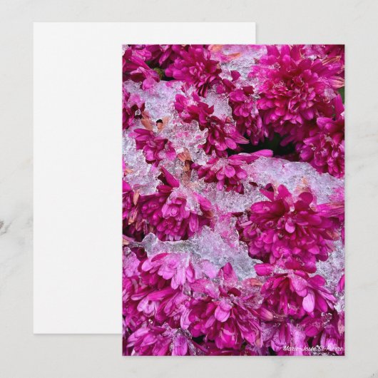 Frozen Blossoms Feiertagskarte (Vorne/Hinten)