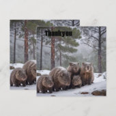 Frozen Burrow: Australian Wombat Family Dankeskarte (Vorne/Hinten)