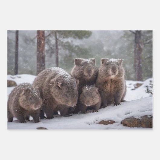 Frozen Burrow: Australian Wombat Family Geschenkpapier Set (Vorderseite 3)