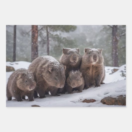 Frozen Burrow: Australian Wombat Family Geschenkpapier Set (Vorderseite 2)