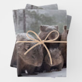 Frozen Burrow: Australian Wombat Family Geschenkpapier Set (Beispiel)