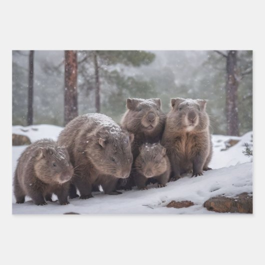 Frozen Burrow: Australian Wombat Family Geschenkpapier Set (Vorderseite)
