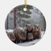 Frozen Burrow: Australian Wombat Family Keramik Ornament (Vorne)