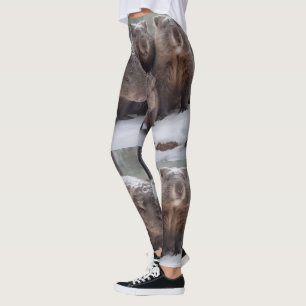 Frozen Burrow: Australian Wombat Family, Leggings