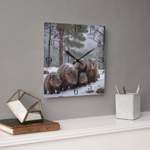 Frozen Burrow: Australian Wombat Family, Quadratische Wanduhr