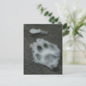 Frozen Cat's Paw Postkarte (Stehend Vorderseite)