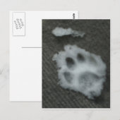 Frozen Cat's Paw Postkarte (Vorne/Hinten)