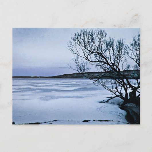 Frozen Cayuga Lake Postkarte (Vorderseite)