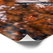 Frozen Deer Lake. Poster (Ecke)