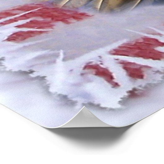 Frozen Glory Poster (Ecke)