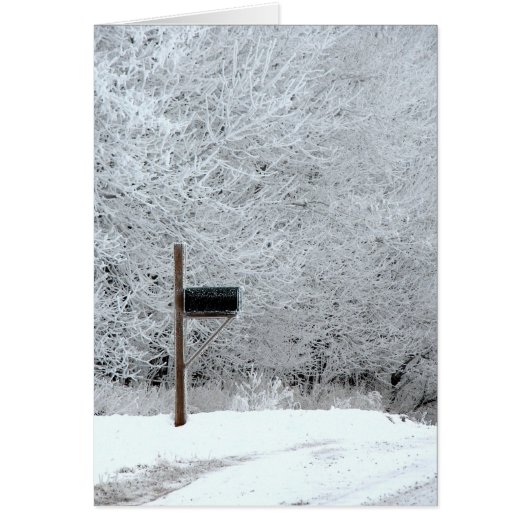 Frozen Iowa All Occasas (Vorne)