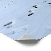 Frozen Lake Galena Poster (Ecke)