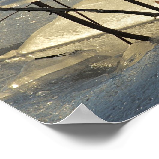 Frozen Marsh Ice Maine Winter Scenery Poster (Ecke)