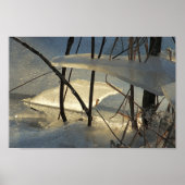 Frozen Marsh Ice Maine Winter Scenery Poster (Vorne)